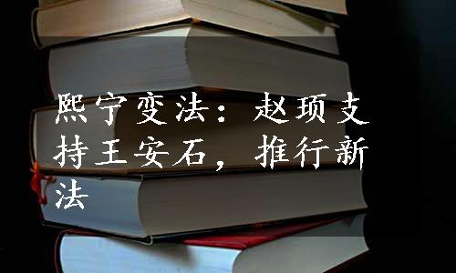 熙宁变法：赵顼支持王安石，推行新法