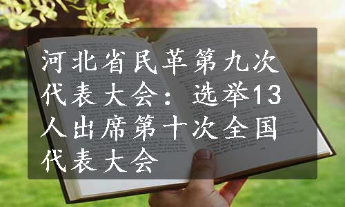 河北省民革第九次代表大会：选举13人出席第十次全国代表大会