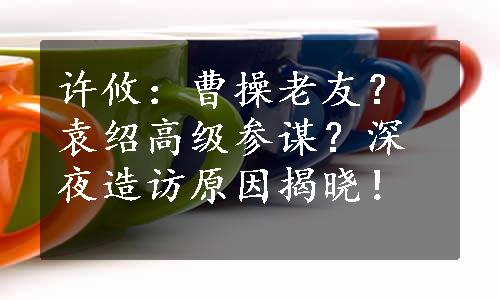 许攸：曹操老友？袁绍高级参谋？深夜造访原因揭晓！