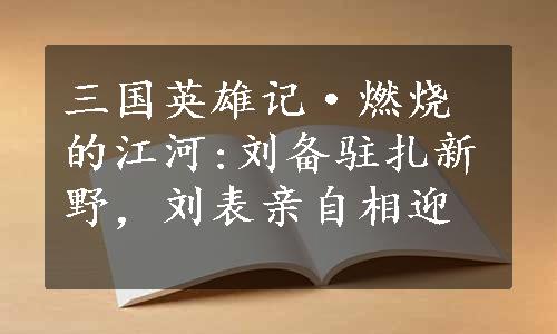 三国英雄记·燃烧的江河:刘备驻扎新野，刘表亲自相迎