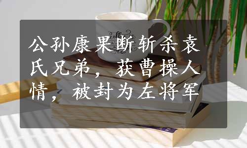 公孙康果断斩杀袁氏兄弟，获曹操人情，被封为左将军