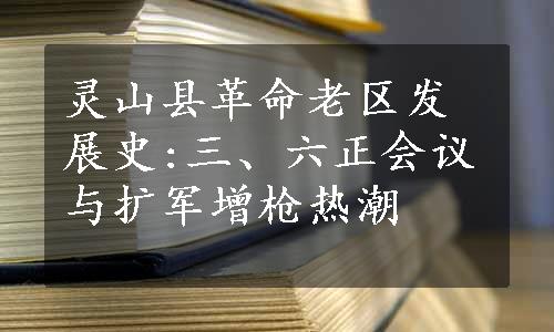 灵山县革命老区发展史:三、六正会议与扩军增枪热潮