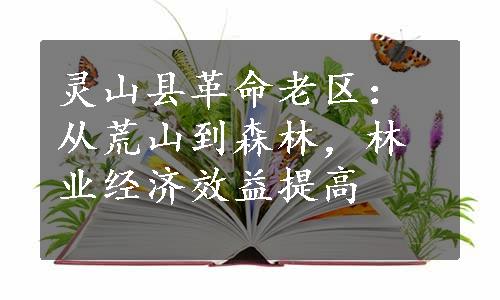 灵山县革命老区：从荒山到森林，林业经济效益提高