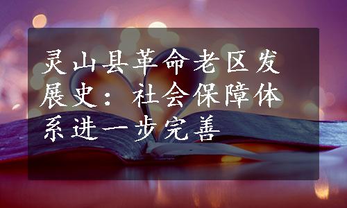 灵山县革命老区发展史：社会保障体系进一步完善