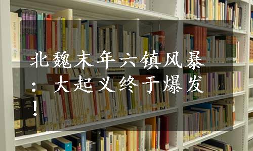 北魏末年六镇风暴：大起义终于爆发！