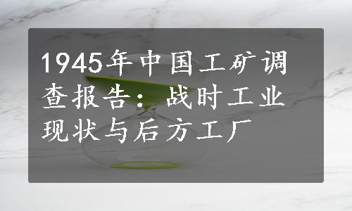 1945年中国工矿调查报告：战时工业现状与后方工厂