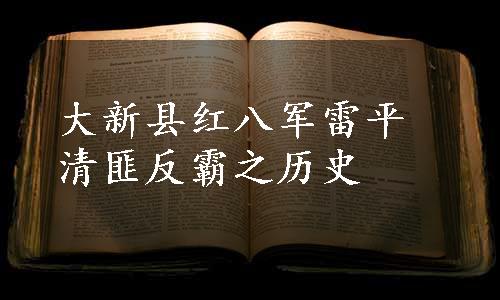 大新县红八军雷平清匪反霸之历史