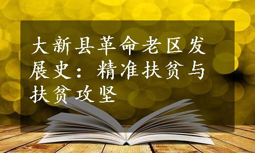 大新县革命老区发展史：精准扶贫与扶贫攻坚