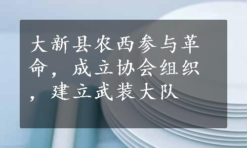 大新县农西参与革命，成立协会组织，建立武装大队