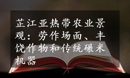 芷江亚热带农业景观：劳作场面、丰饶作物和传统碾米机器