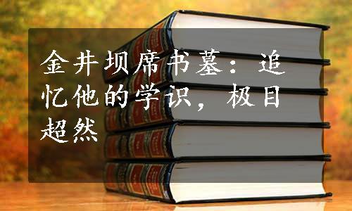 金井坝席书墓：追忆他的学识，极目超然