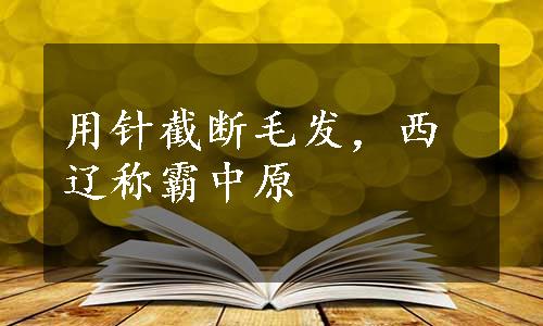 用针截断毛发，西辽称霸中原