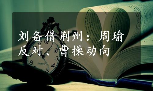 刘备借荆州：周瑜反对、曹操动向