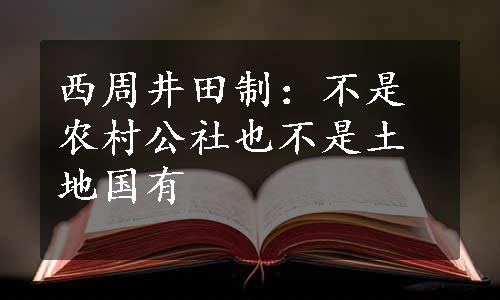 西周井田制：不是农村公社也不是土地国有