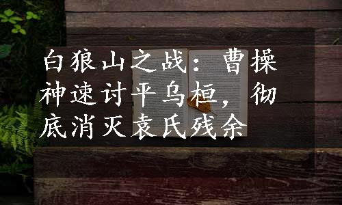 白狼山之战：曹操神速讨平乌桓，彻底消灭袁氏残余