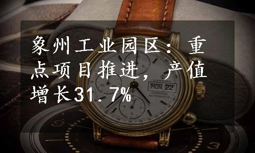 象州工业园区：重点项目推进，产值增长31.7%