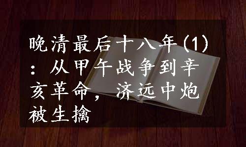 晚清最后十八年(1)：从甲午战争到辛亥革命，济远中炮被生擒