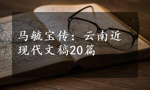 马毓宝传：云南近现代文稿20篇