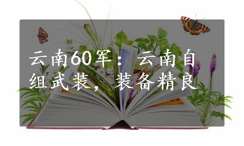 云南60军：云南自组武装，装备精良