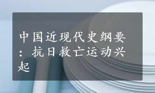 中国近现代史纲要：抗日救亡运动兴起