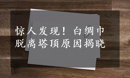 惊人发现！白绸巾脱离塔顶原因揭晓