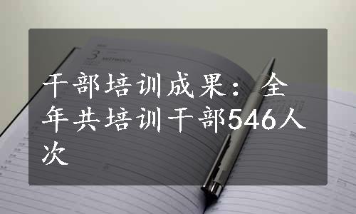 干部培训成果：全年共培训干部546人次