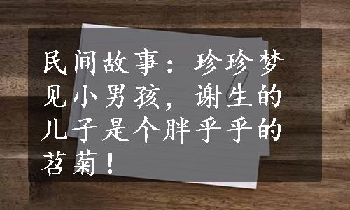 民间故事：珍珍梦见小男孩，谢生的儿子是个胖乎乎的苕菊！