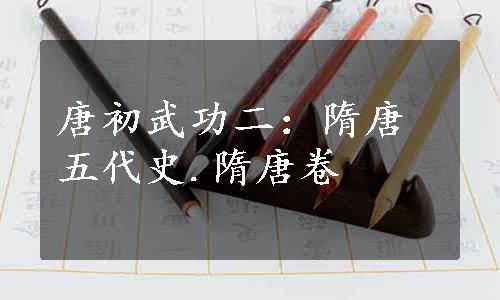 唐初武功二：隋唐五代史.隋唐卷