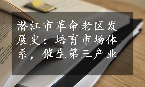 潜江市革命老区发展史：培育市场体系，催生第三产业