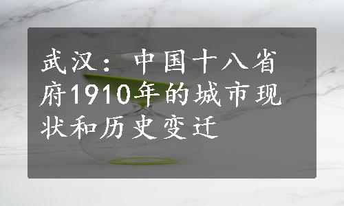 武汉：中国十八省府1910年的城市现状和历史变迁