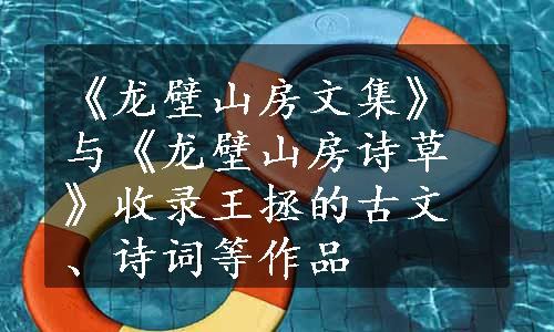 《龙壁山房文集》与《龙壁山房诗草》收录王拯的古文、诗词等作品