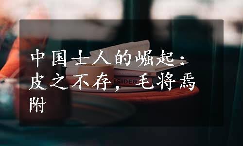 中国士人的崛起：皮之不存，毛将焉附