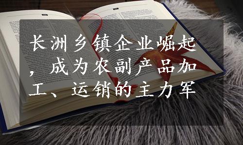 长洲乡镇企业崛起，成为农副产品加工、运销的主力军