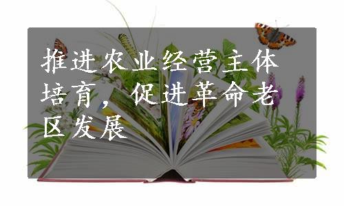 推进农业经营主体培育，促进革命老区发展