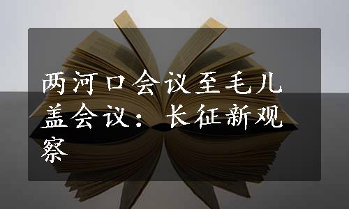 两河口会议至毛儿盖会议：长征新观察