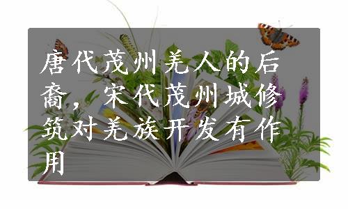 唐代茂州羌人的后裔，宋代茂州城修筑对羌族开发有作用