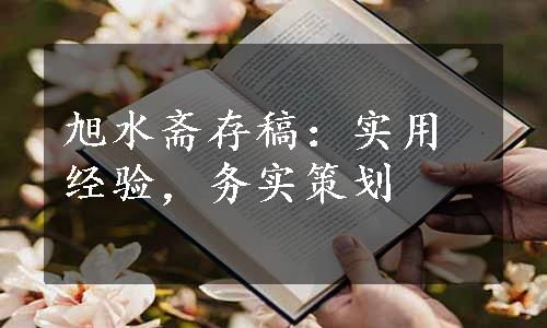 旭水斋存稿：实用经验，务实策划