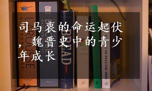 司马衷的命运起伏，魏晋史中的青少年成长