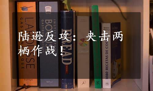 陆逊反攻：夹击两栖作战！