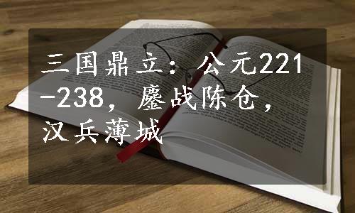 三国鼎立：公元221-238，鏖战陈仓，汉兵薄城