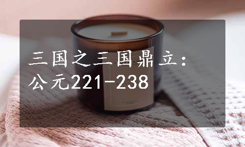 三国之三国鼎立：公元221-238