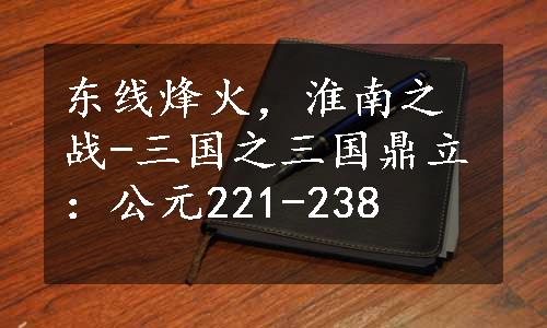 东线烽火，淮南之战-三国之三国鼎立：公元221-238