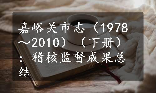 嘉峪关市志（1978～2010）（下册）：稽核监督成果总结