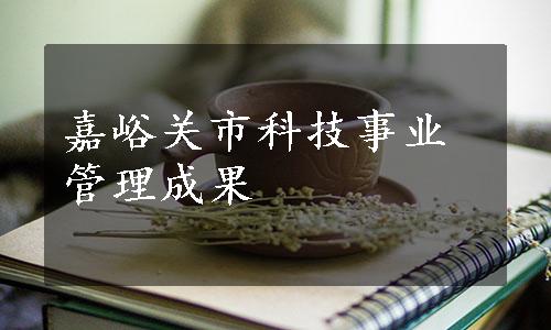 嘉峪关市科技事业管理成果