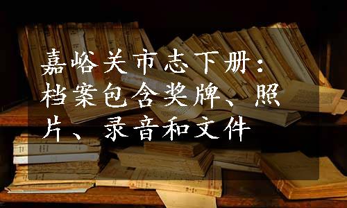 嘉峪关市志下册：档案包含奖牌、照片、录音和文件