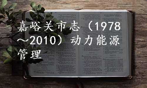 嘉峪关市志（1978～2010）动力能源管理