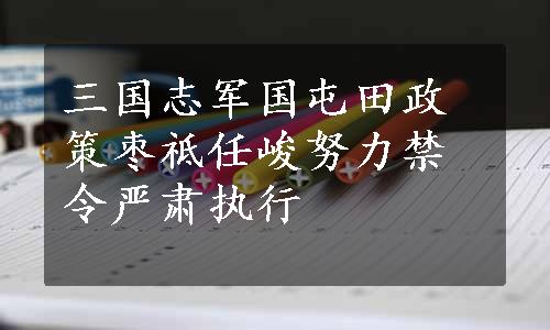 三国志军国屯田政策枣祗任峻努力禁令严肃执行