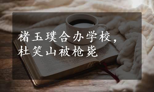 褚玉璞合办学校，杜笑山被枪毙