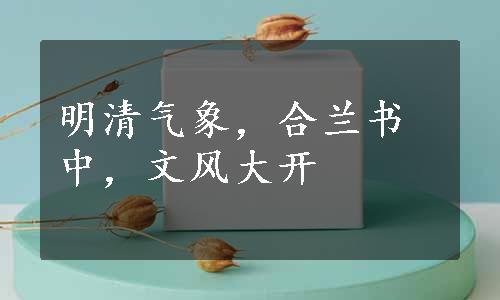 明清气象，合兰书中，文风大开