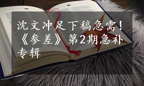 沈文冲足下稿急需!《参差》第2期急补专辑